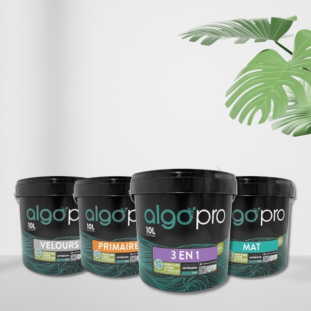 Peinture écologique professionnelle - Noir Piana