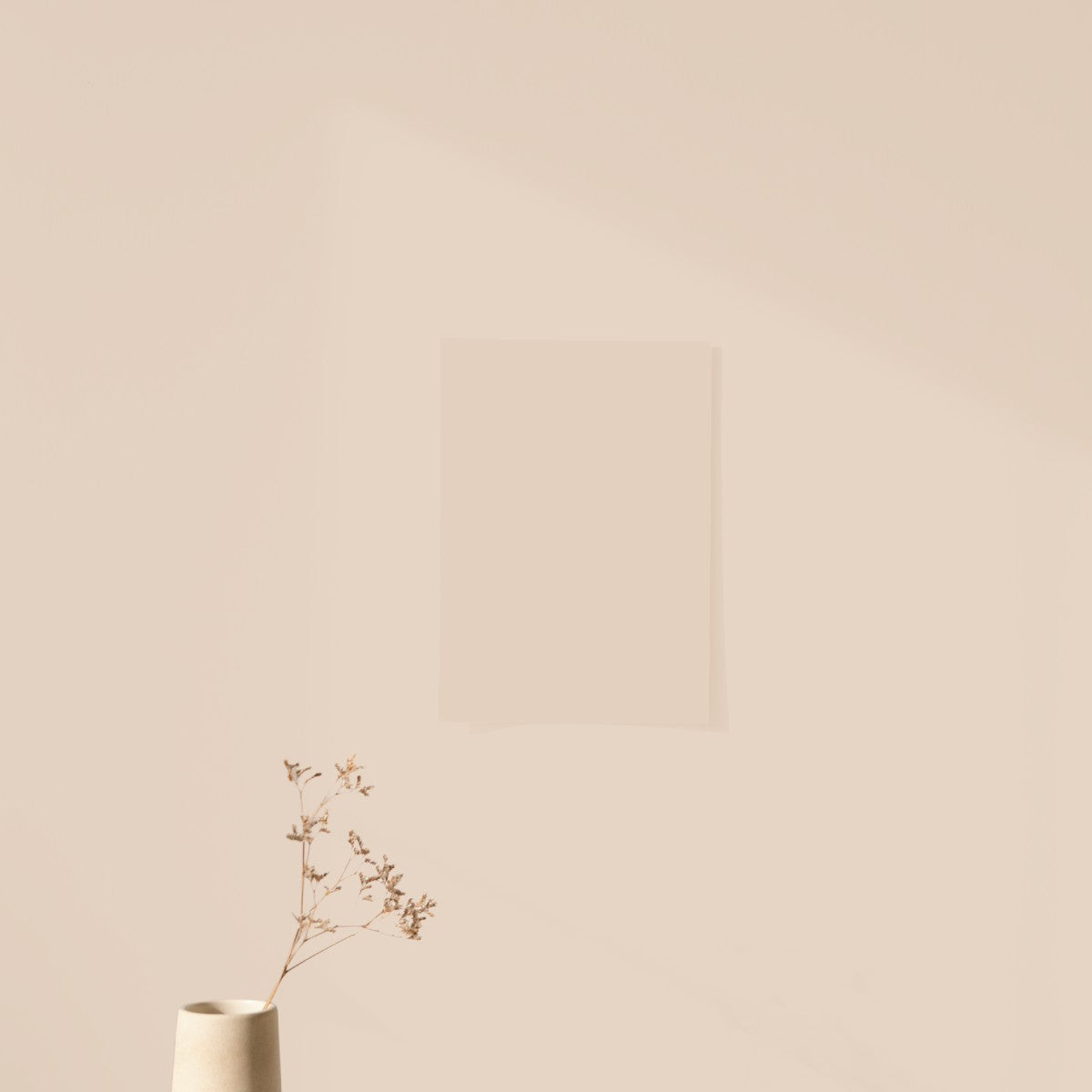 Échantillon Nuancier Algo Pro Beige Nude