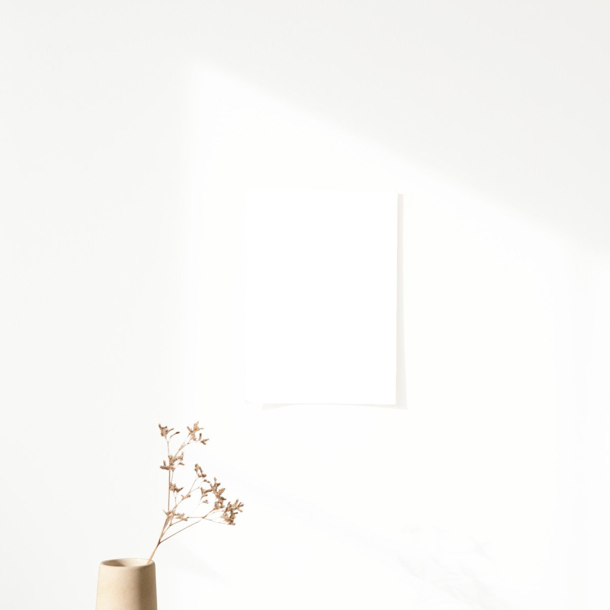 Échantillon Nuancier Algo Pro Blanc Pur