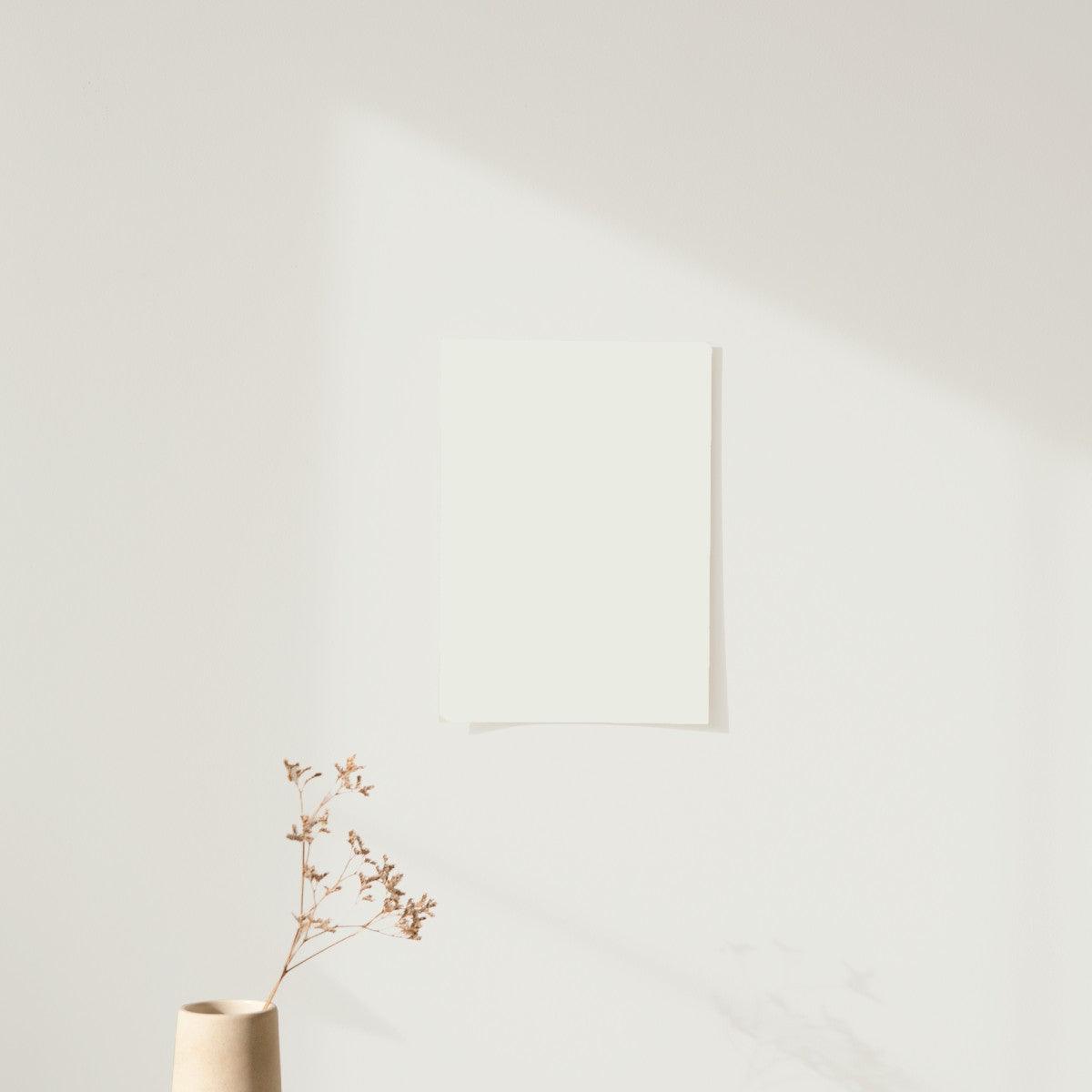 Échantillon Nuancier Algo Pro Blanc Beluga