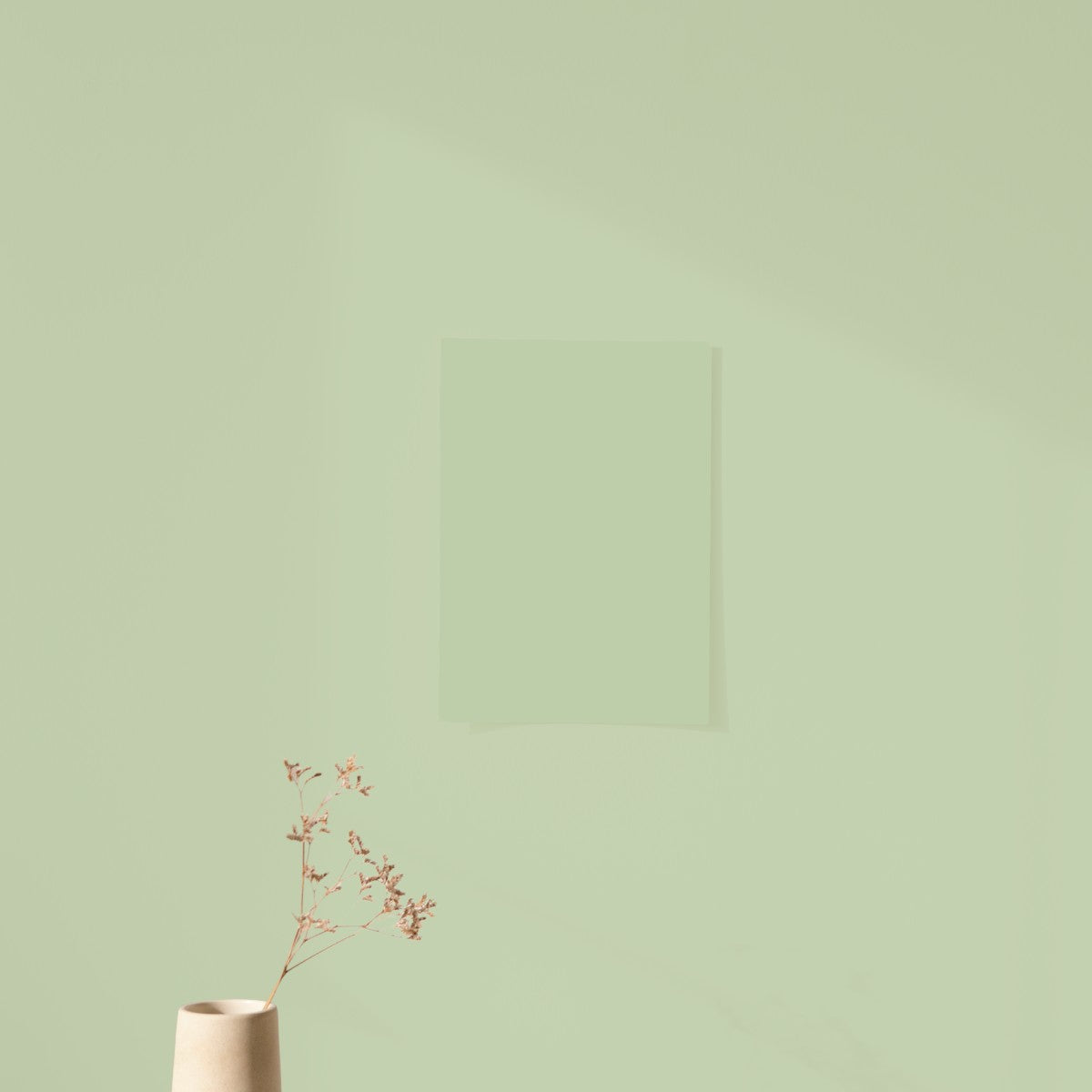 Échantillon Nuancier Algo Pro Vert Guadeloupe