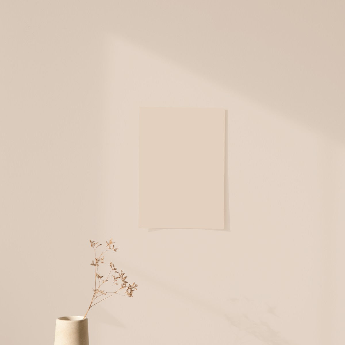 Échantillon Nuancier Algo Pro Beige Les Noisettes Coquettes