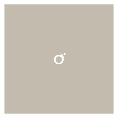 Peinture écologique professionnelle - Beige Noix de muscade