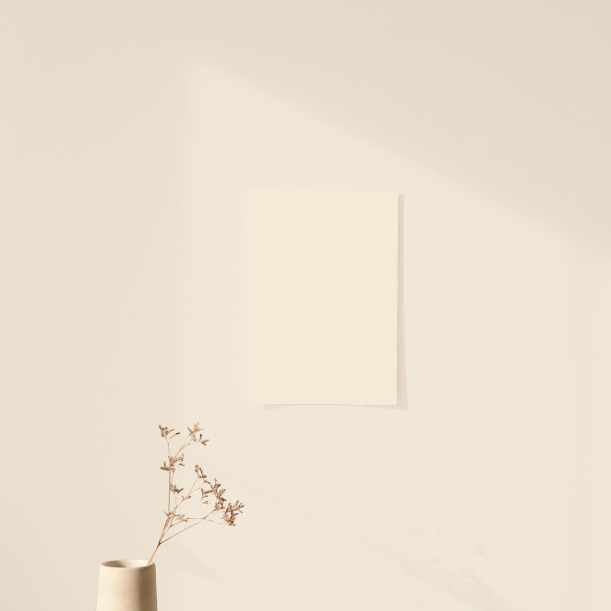 Échantillon Nuancier Algo Pro Beige Amande Charmante