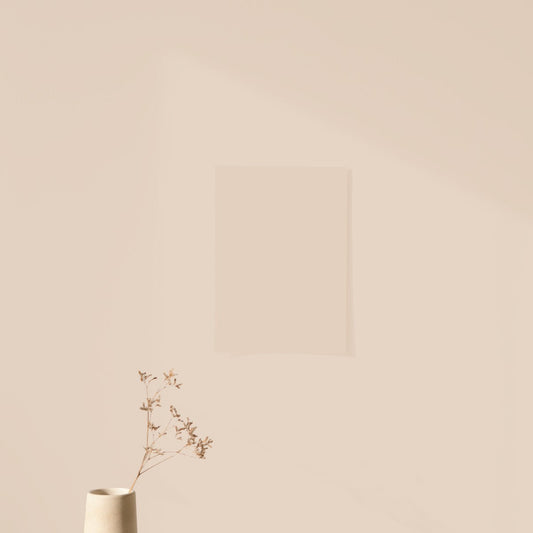 Échantillon Nuancier Algo Pro Beige Nude