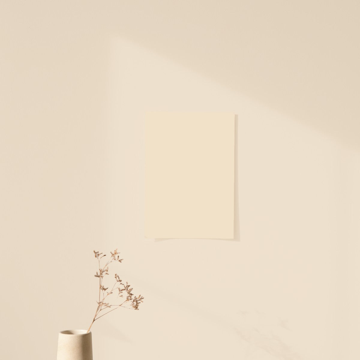 Échantillon Nuancier Algo Pro Beige Oléron