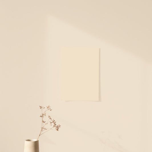 Échantillon Nuancier Algo Pro Beige Oléron