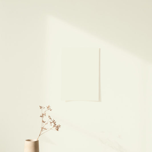 Échantillon Nuancier Algo Pro Blanc Aube