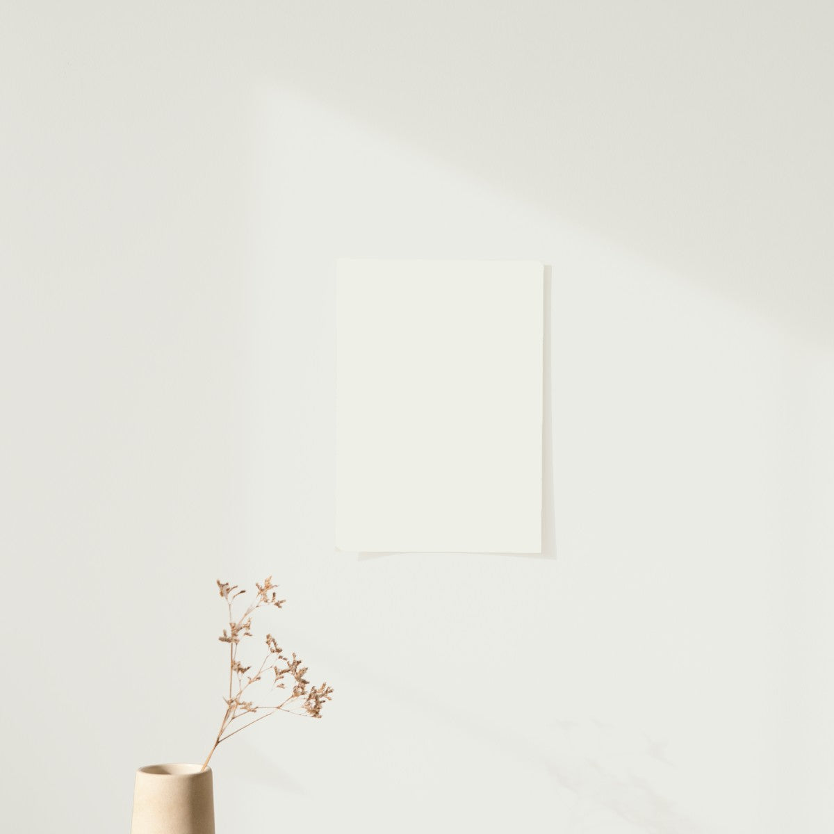 Échantillon Nuancier Algo Pro Blanc Chaud