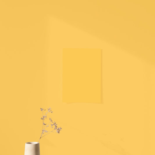 Échantillon Nuancier Algo Pro Jaune Magnifique