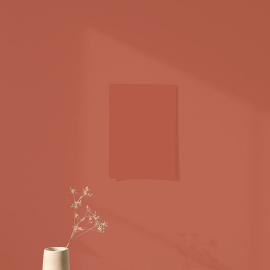 Échantillon Nuancier Algo Pro Terracotta Madagascar