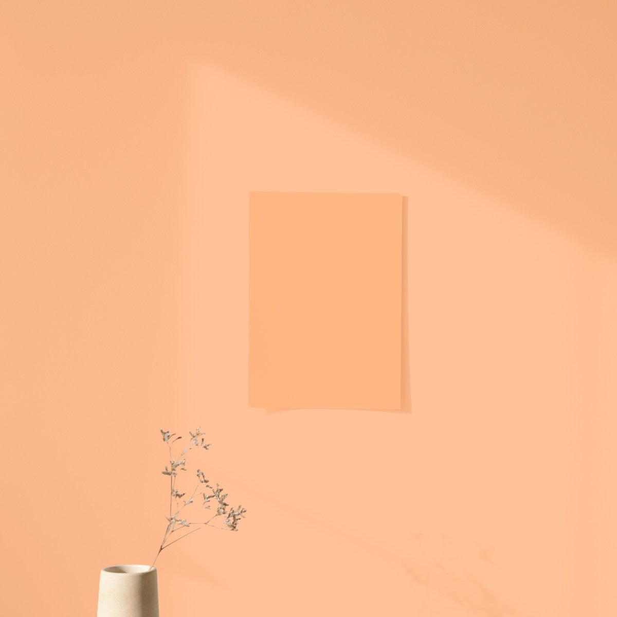 Échantillon Nuancier Algo Pro Orange délicieux