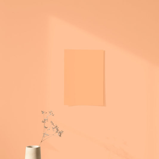 Échantillon Nuancier Algo Pro Orange délicieux