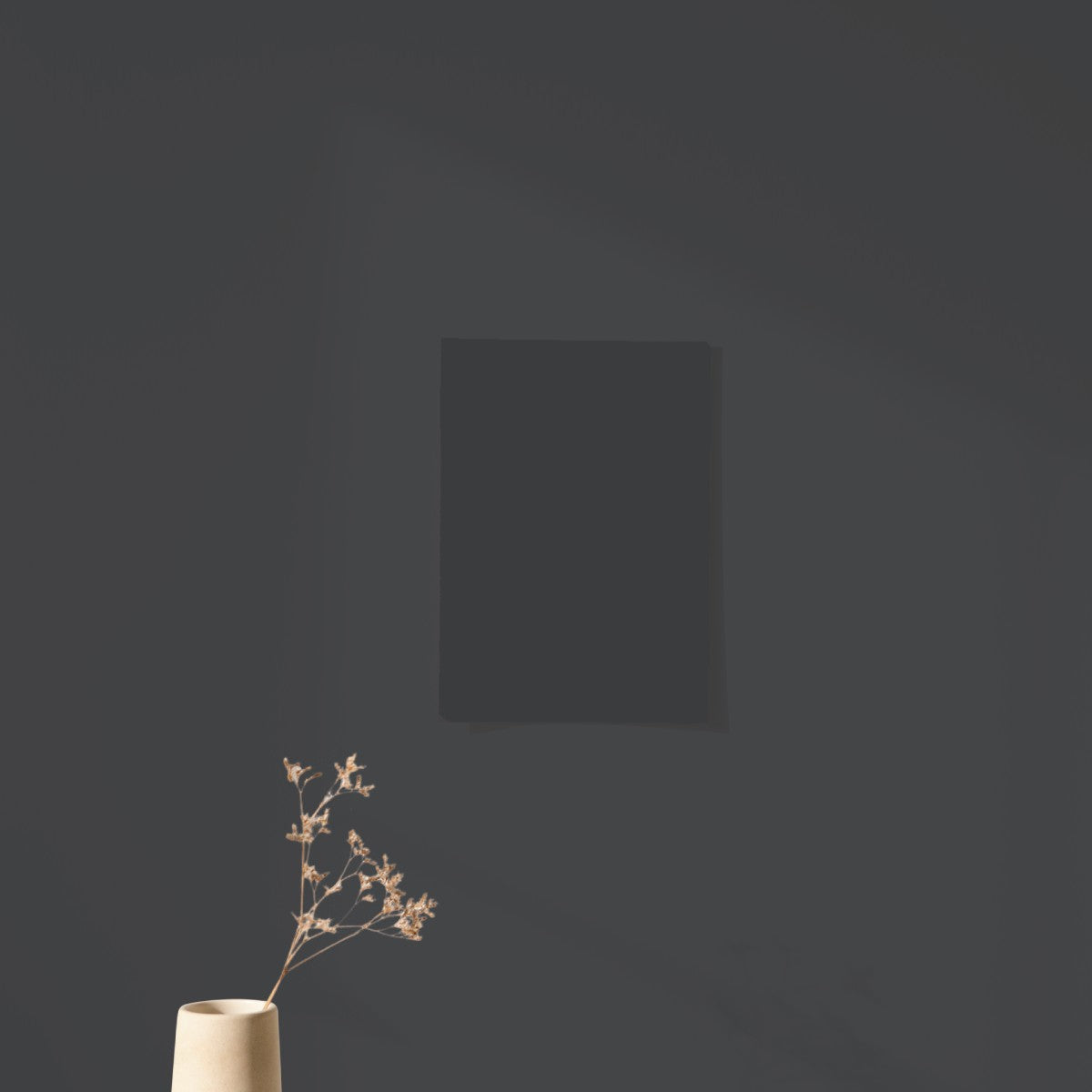 Échantillon Nuancier Algo Pro Noir Piana