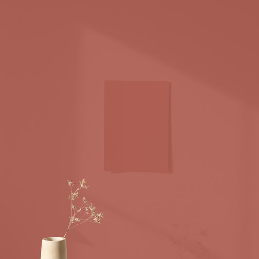 Échantillon Nuancier Algo Pro Terracotta Ponziane