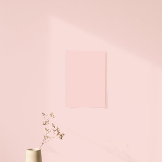 Échantillon Nuancier Algo Pro Terre Rose