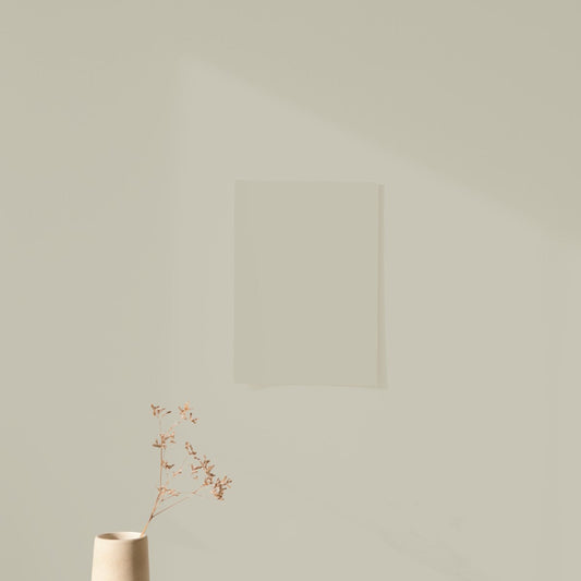 Échantillon Nuancier Algo Pro Vert Amande