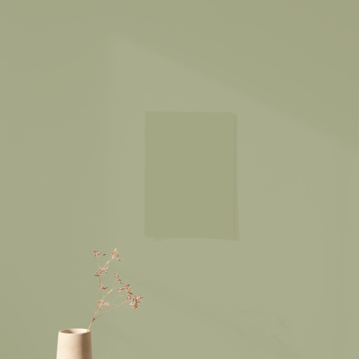 Échantillon Nuancier Algo Pro Vert Tendre