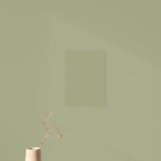 Échantillon Nuancier Algo Pro Vert Tendre