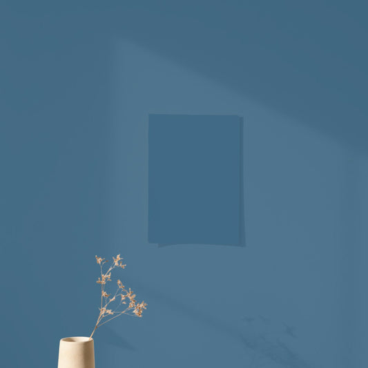 Échantillon Nuancier Algo Pro Bleu Délicat