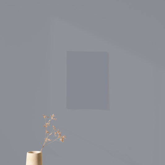 Échantillon Nuancier Algo Pro Gris Chaud des Açores