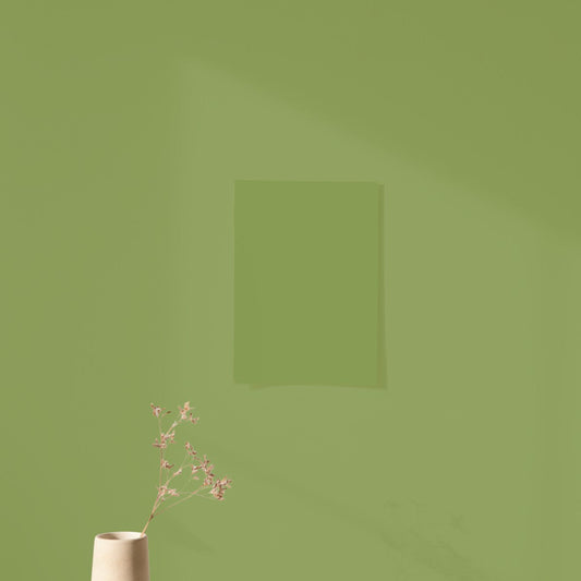 Échantillon Nuancier Algo Pro Vert olive de Méditerranée