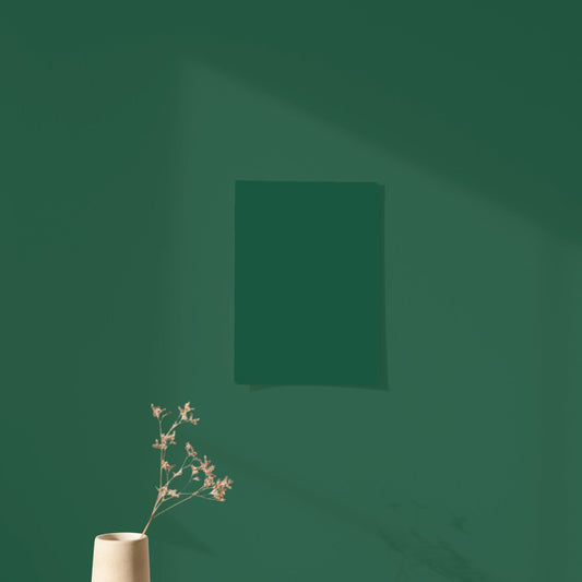 Échantillon Nuancier Algo Pro Vert forêt de pins