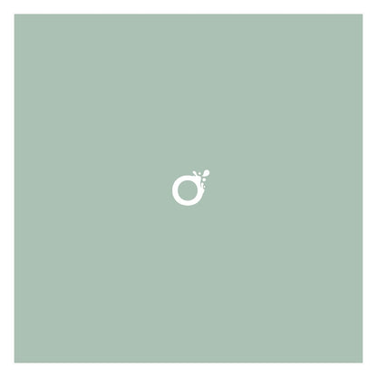 Peinture écologique professionnelle - Vert reposant